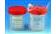 4oz Sterile Specimen Container with Separate 1/4-Turn Red Screwcap