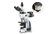 iScope Series Trinocular Compound Microscopes with Mini Camera