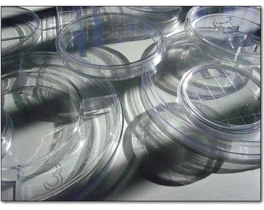 MG Scientific Petri Dishes