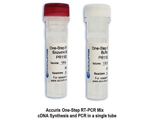 cDNA synthesis and PCR in a single tube