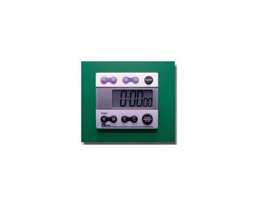 Five Channel Timer