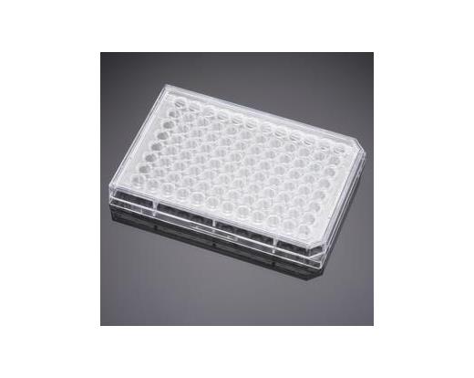 Falcon 96-well cell culture plates