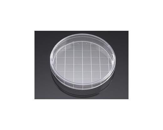 Falcon 150mm Cell Culture Dishes