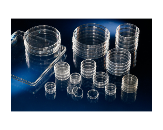 Nunclon Cell Culture/Petri Dishes