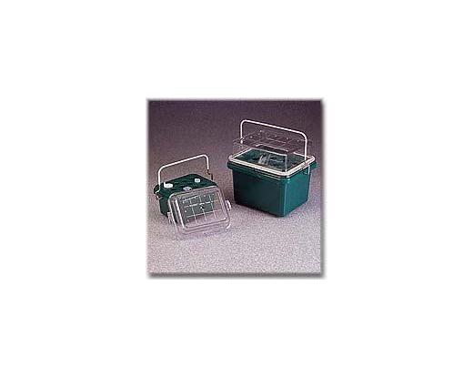 NALGENE&amp;reg; DS5116 0&amp;#176;C Labtop Coolers, green