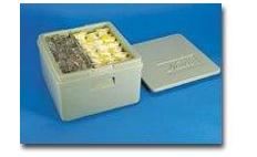 NASCO Milk Sample Ice Chest