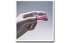 Cell Culture Dishes, 35mm Easy-Grip<font size=-1><sup>TM</sup></font> FALCON&amp;reg;