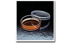 Cell Culture Dishes, 60mm Easy-Grip<font size=-1><sup>TM</sup></font> FALCON&amp;reg;