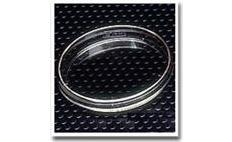 Cell Culture Dishes, 100mm Standard, FALCON&amp;reg;