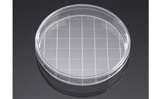 Falcon 150mm Cell Culture Dishes
