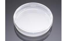 Falcon 100mm Cell Culture Dishes