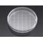 Falcon&amp;reg; Cell Culture Dishes, 150mm Integrid&amp;trade;, Corning&amp;reg;