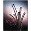 NALGENE&amp;reg; 8000 180 Clear Plastic Tubing, Transparent, flexible, versatile, economical