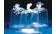 Transparent Polyethylene Utility Bags