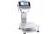 Upright Washdown Bench Balances