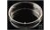 D224-10a.jpg