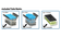 Model B2000-4 4L Water Bath includes