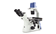 Oxion Inverso Inverted Microscopes