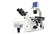 Oxion Inverso Inverted Microscope with Camera