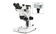 Trinocular stereo NexiusZoom Evo w/camera