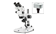 StereoBlue Trinocular Stereo Microscopes DC18 Camera