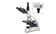 Trinocular microscope with /camera