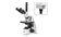 bScope Trinocular microscope with DC18 Camera