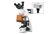 bScope trinocular microscope for LED, fluorescence