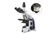iScope Series Compound Microscopes with Mini Camera