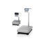 Balances, Bench Scale, HV-G Series, NTEP, A&D Weighing