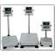 Balances, Single Range Washdown Scale, HW-WP Series, A&D Weighing