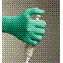 NEOGARD® Chloroprene Exam Gloves