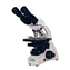 Microscopes, Brightfield Microscope, 1300 Series VanGuard&reg;