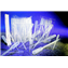Pipets, Transfer, Disposable Polyethylene, Standard Bulb, Thermo