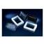 Plates, Multiwell, Replication System, NUNC&trade;