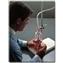 NALGENE&reg; 390 Filling Bell, polycarbonate; polypropylene tubing adapter