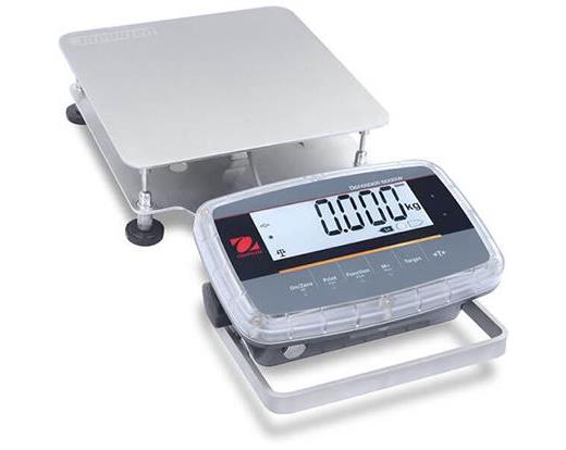 Washdown Bench Balance