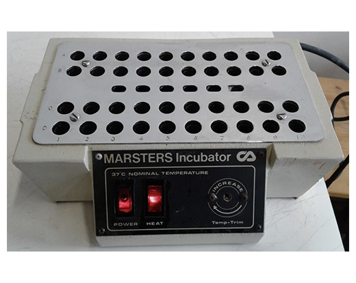 Clay Adams Marsters Incubator