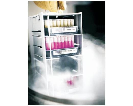 Nunc Cryo Vials