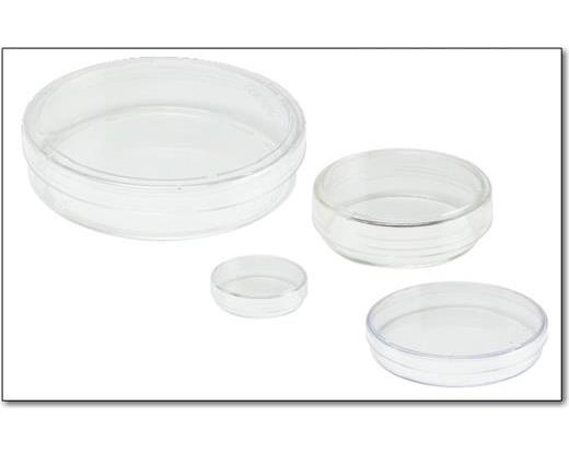 Petri Dishes