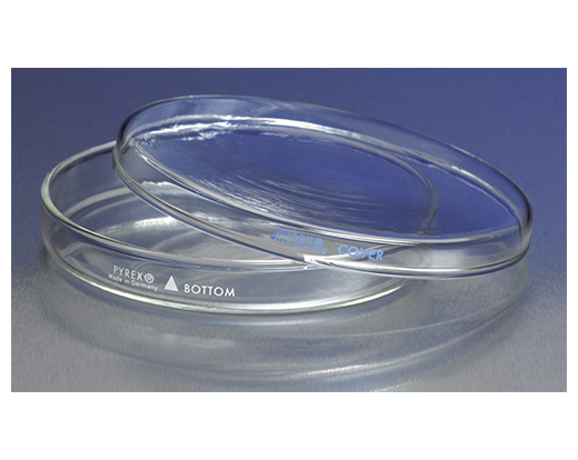 PYREX Petri Dishes with Cover