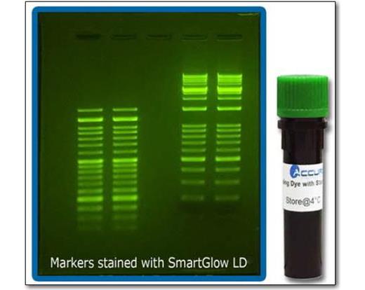 SmartGlow Loading Dye