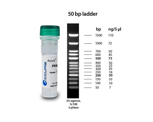 50bp DNA ladder