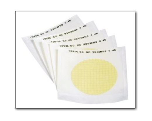 Cellulose Nitrate Filter Gridded