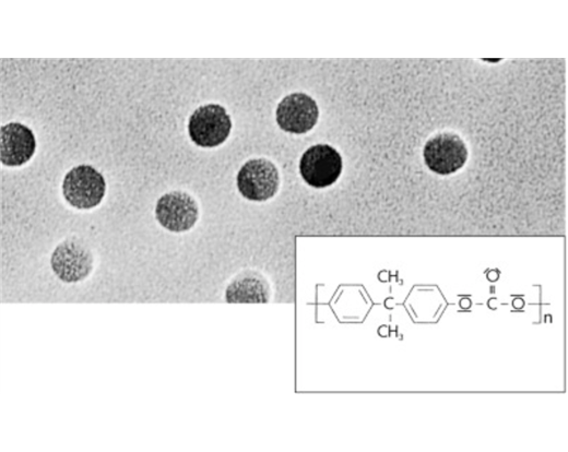 Polycarbonate Track-Etched Membrane Filters 0.2µm 47mm Discs