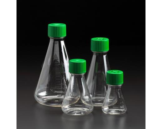 Erlenmeyer Flasks