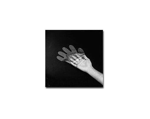 Polyethylene Gloves, Disposable