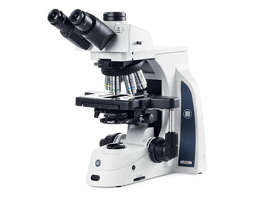 Delphi-X Observer Compound Microscope