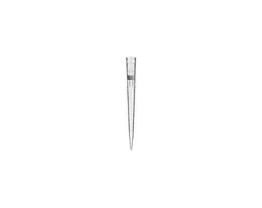 P521-199.gif
