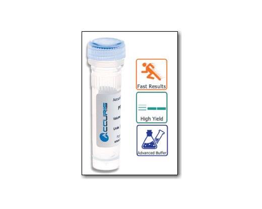 PR1000-DNA Polymerase Master Mix